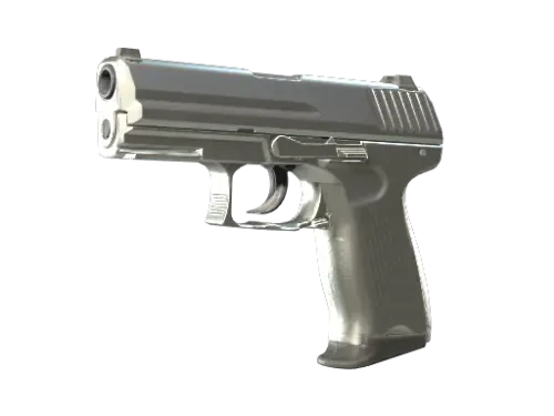 P2000 | Silver