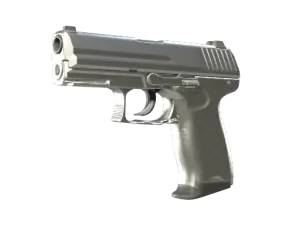 P2000 | Silver