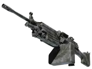 M249 | Midnight Palm