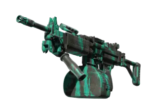Negev | Terrain