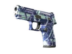 P250 | Digital Architect