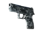 P250 | Steel Disruption
