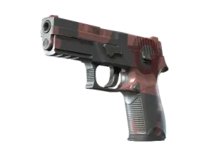 P250 | Constructivist