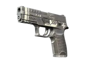 P250 | Re.built