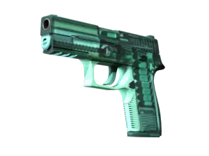 P250 | X-Ray
