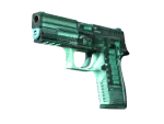 P250 | X-Ray