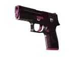 P250 | Vino Primo
