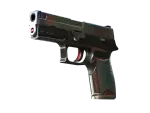 P250 | Cyber Shell