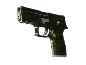 P250 | Iron Clad