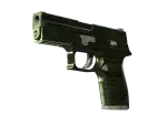 P250 | Iron Clad