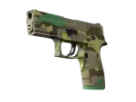 P250 | Boreal Forest