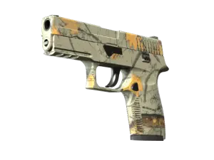 P250 | Modern Hunter