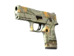 P250 | Modern Hunter