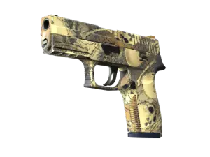 P250 | Contamination