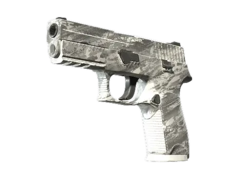P250 | Sleet
