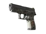 P250 | Small Game