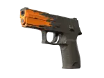 P250 | Splash
