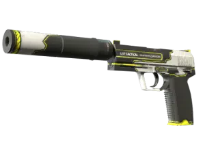 USP-S | Torque