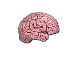 Sticker | CS On The Mind Sticker | CS On The Mind