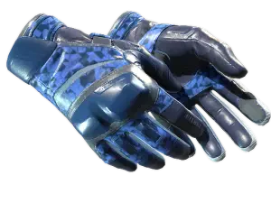 ★ Moto Gloves | Polygon
