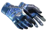 ★ Moto Gloves | Polygon