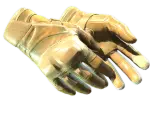 ★ Moto Gloves | Transport