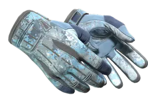 ★ Sport Gloves | Frosty