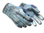 ★ Sport Gloves | Frosty