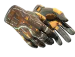 ★ Sport Gloves | Big Game