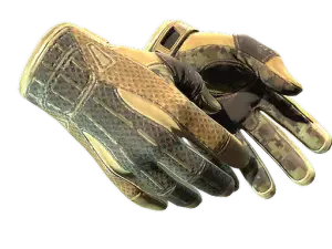 ★ Sport Gloves | Arid