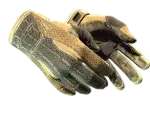 ★ Sport Gloves | Arid