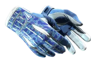 ★ Sport Gloves | Amphibious