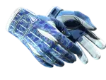 ★ Sport Gloves | Amphibious