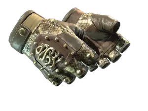 ★ Hydra Gloves | Rattler