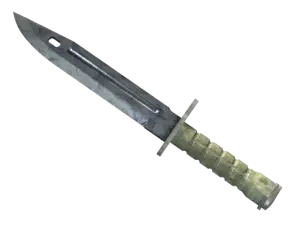 ★ Bayonet | Stained