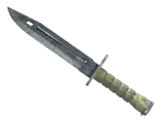 ★ Bayonet | Stained