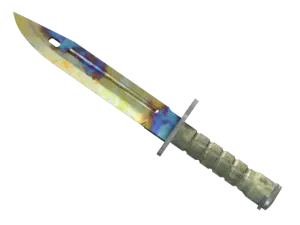 ★ Bayonet | Case Hardened