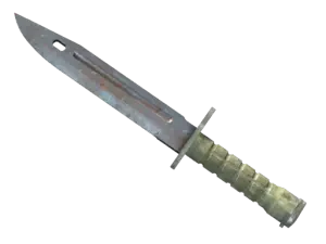 ★ Bayonet | Rust Coat