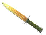 ★ Bayonet | Lore
