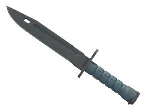 ★ Bayonet | Night
