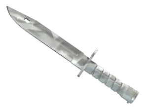 ★ Bayonet | Urban Masked