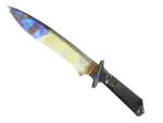 ★ Classic Knife | Case Hardened