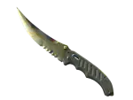 ★ Flip Knife | Case Hardened