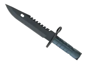 ★ M9 Bayonet | Night
