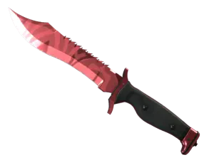 ★ Bowie Knife | Slaughter
