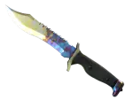 ★ Bowie Knife | Case Hardened