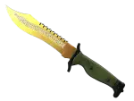★ Bowie Knife | Lore