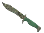 ★ Bowie Knife | Boreal Forest