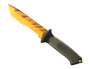 ★ Ursus Knife | Tiger Tooth