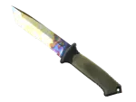 ★ Ursus Knife | Case Hardened